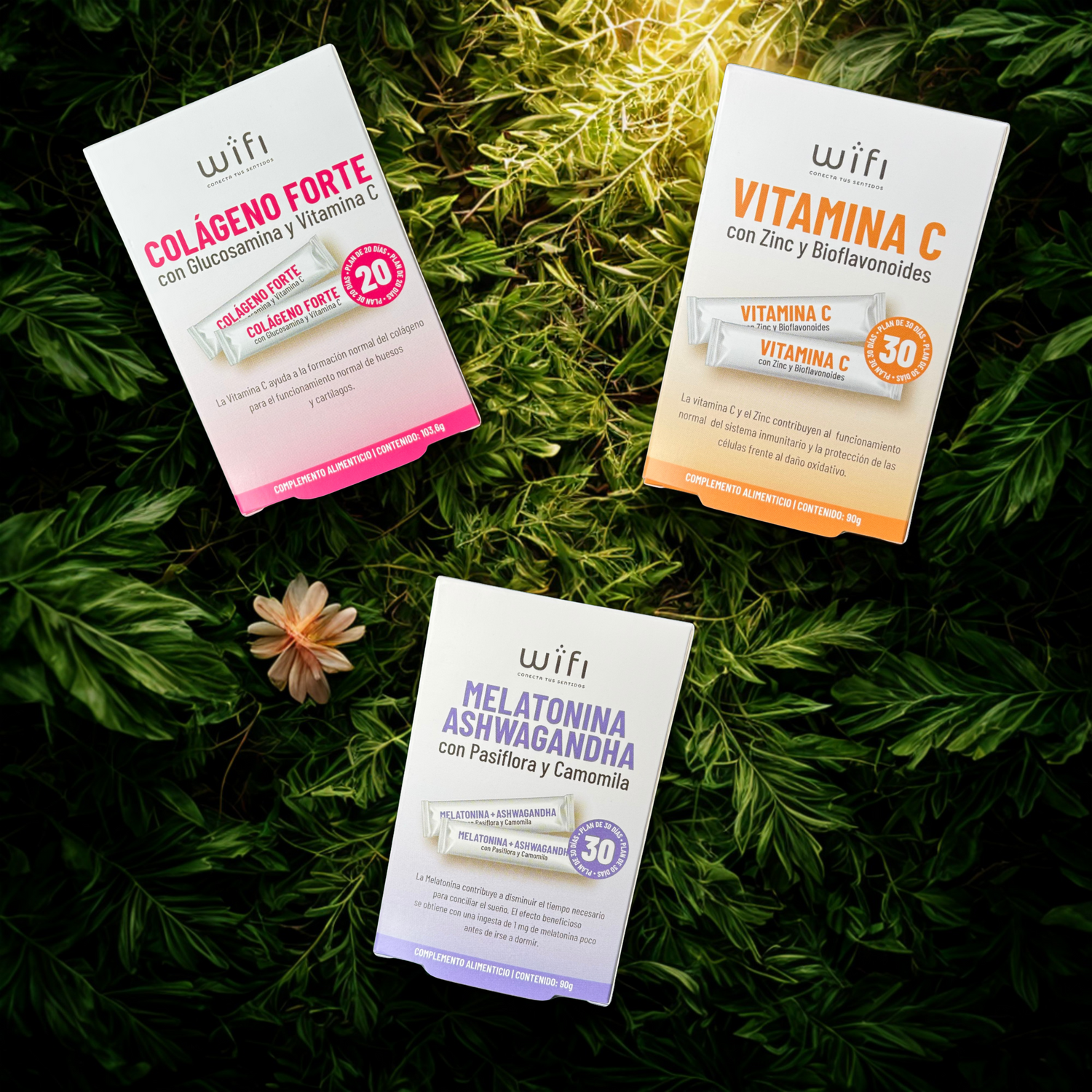 Complementos Nutricionales